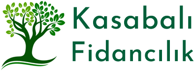 Kasabalı Fidancılık